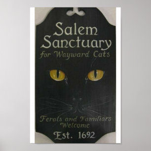 Póster Santuario Salem