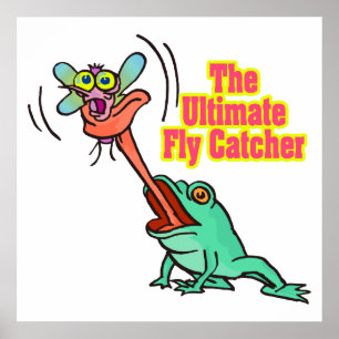 Póster sapo divertido del catcher de mosca final