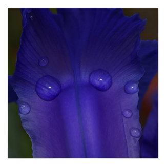 Póster Sapphire Serenity 