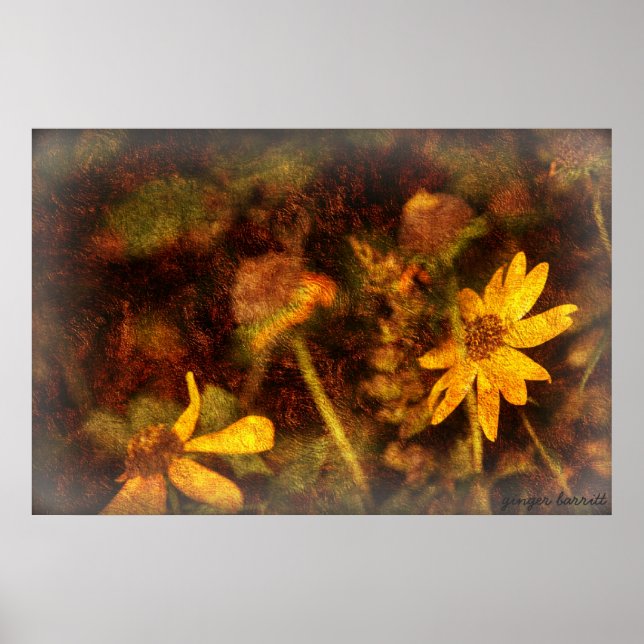 Póster Sarah's (Frente)