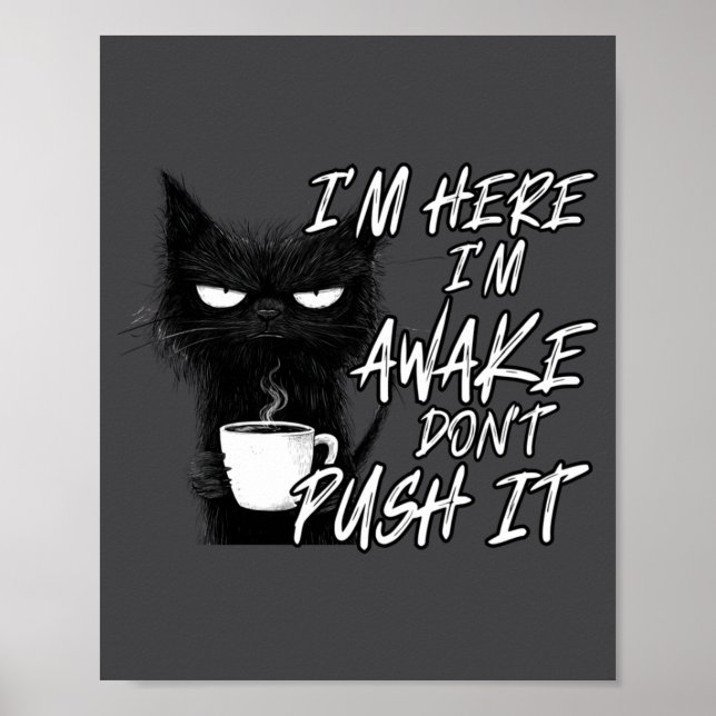 Póster Sarcastic Cat Funny Cat I'm Here I'm Awake Don't P (Frente)