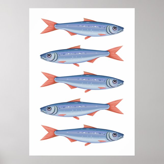 Póster Sardinas (Frente)