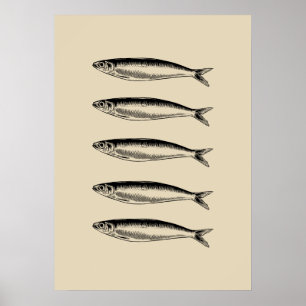 Póster Sardinas Fish