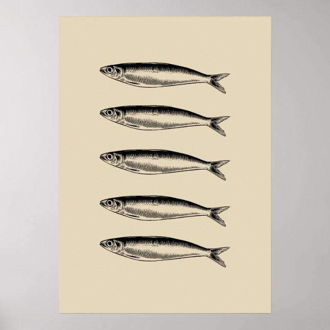 Póster Sardinas Fish (Frente)