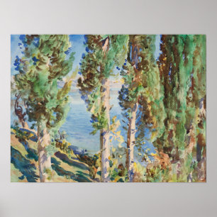 Póster Sargent - Cipreses