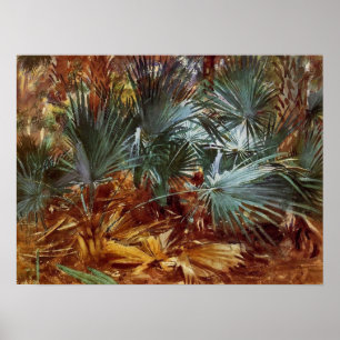 Póster Sargente - Palmettos