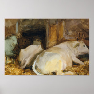 Póster Sargento John Singer - Tres Oxen