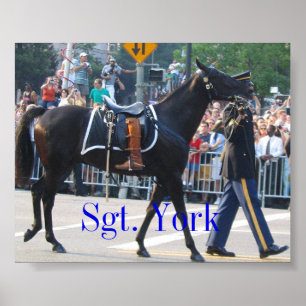 Póster Sargento York el caballo Riderless
