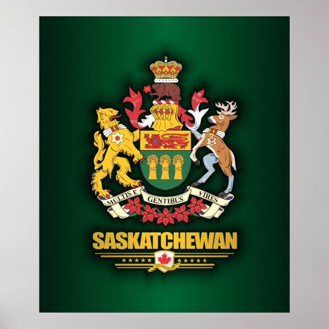 Póster Saskatchewan COA (Frente)