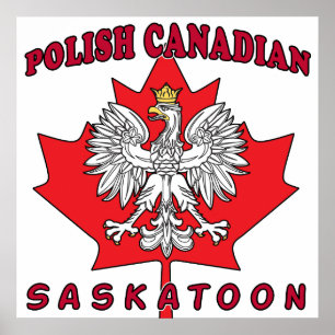 Póster Saskatoon hojas polacas canadienses