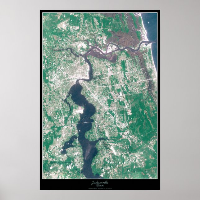 Póster satelital de Jacksonville, Florida (Frente)