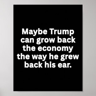 Póster Sátira humorística política sarcástica anti-Trump 