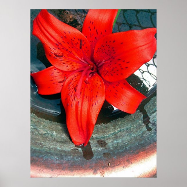 Póster Saturn Flow (Frente)