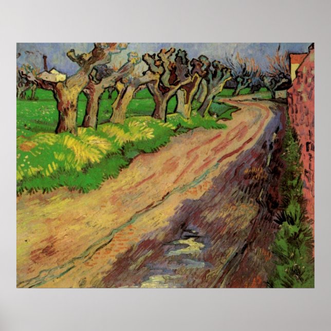 Póster Sauces Pollard de Vincent van Gogh (Frente)