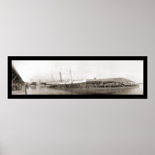 Póster Savannah, GA Ships & Harbor Photo 1909