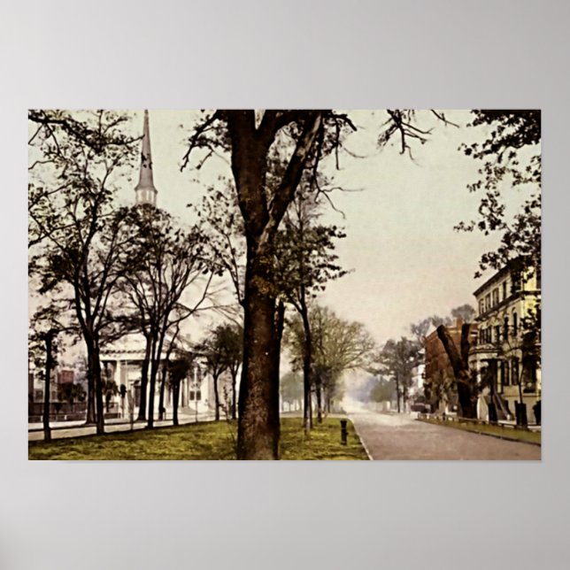 Póster Savannah, Georgia Oglethorpe Avenue (Frente)