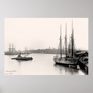 Póster Savannah River