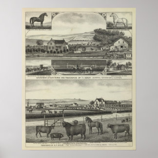 Póster Savannah Stock Farmand Residences, Kansas