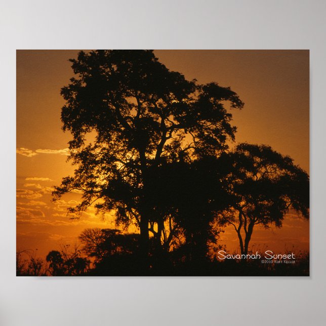 Póster Savannah Sunset (Frente)