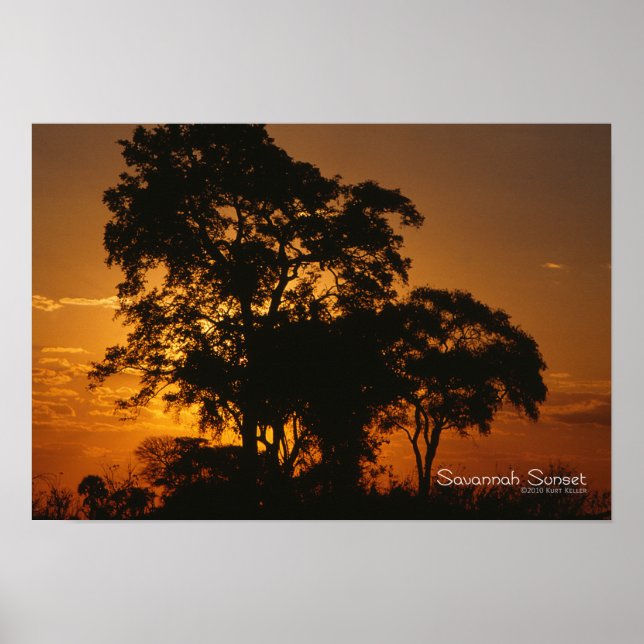 Póster Savannah Sunset (Frente)