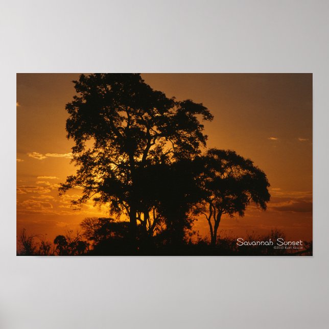 Póster Savannah Sunset Poster (Frente)