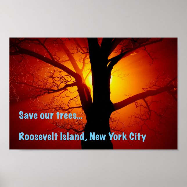 Póster Save our trees, Roosevelt Island, New York City (Frente)