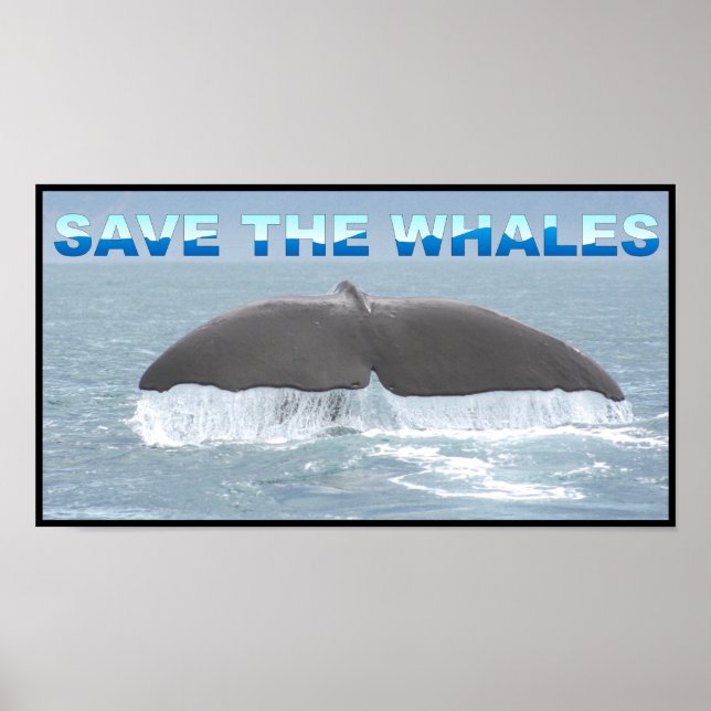 Póster Save the Whales (Frente)