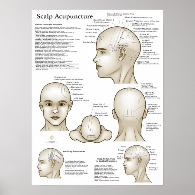 Póster Scalp Head Acupuncture Points (Frente)