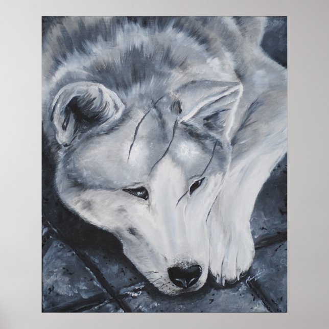 Póster Scars of the past (Frente)