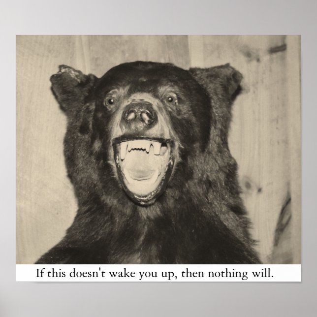 Póster Scary Bear (Frente)