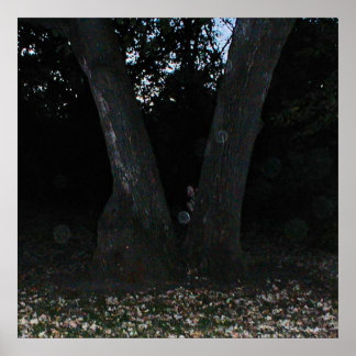 Póster Scary Faerie