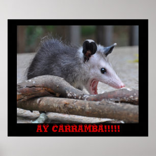 Póster Scary Possum - Poster