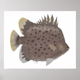 Póster Scat manchado