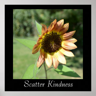 Póster Scatter Kindness Sunflower Poster