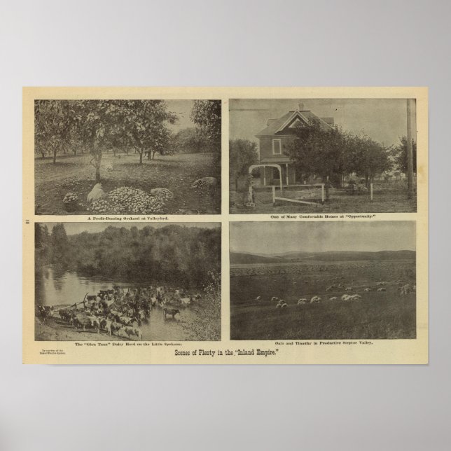 Póster Scenes Inland Empire (Frente)