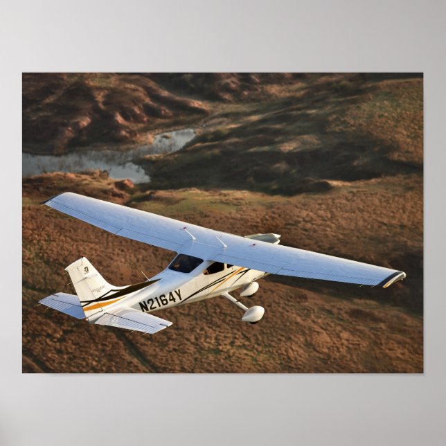 Póster Scenic Skylane (Frente)