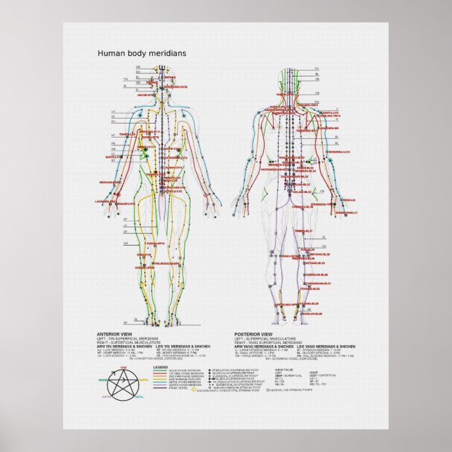 Póster Schematic of the Chinese or Human Body Meridians (Frente)