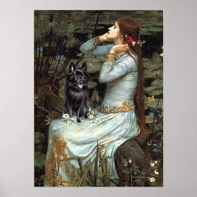 Póster Schipperke 4 - Ophelia Sentada (Frente)
