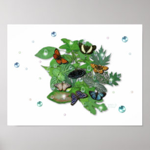 Póster Schmetterlinge mit Blätter, Regentropfen, Perlen