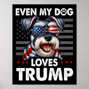 Póster Schnauzer, incluso mi perro ama a Trump gracioso