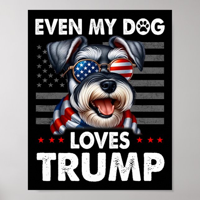 Póster Schnauzer, incluso mi perro ama a Trump gracioso (Frente)