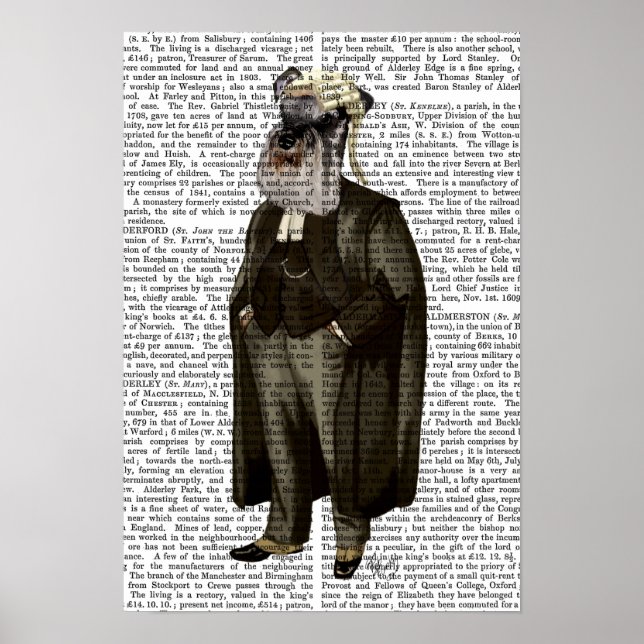 Póster Schnauzer Lawyer (Frente)