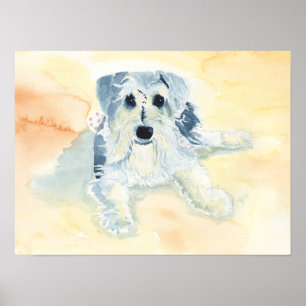 Póster Schnauzer Mia