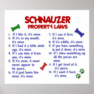 PÓSTER SCHNAUZER PL2
