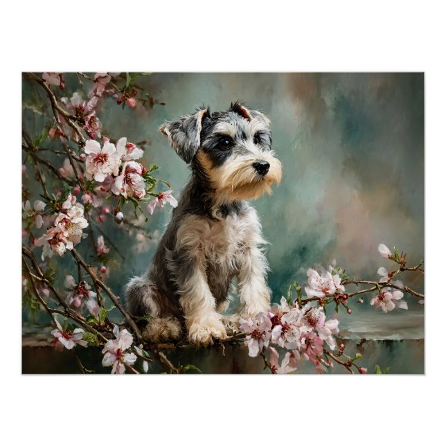 Póster Schnauzer Puppy Among Spring Cherry Blossoms (Anverso)