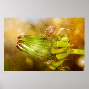 Póster Schnecke auf Löwenzahn