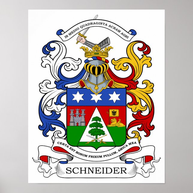 Póster Schneider Coat of Arms Personalizado (Frente)