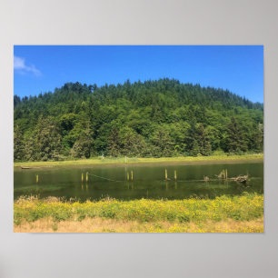 Póster Scholfield Creek, Reedsport, Oregón