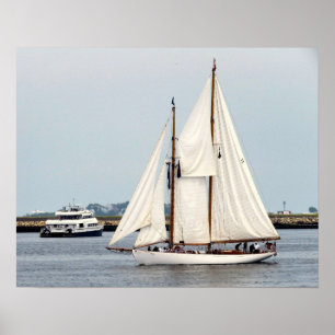Póster Schooner Brilliant