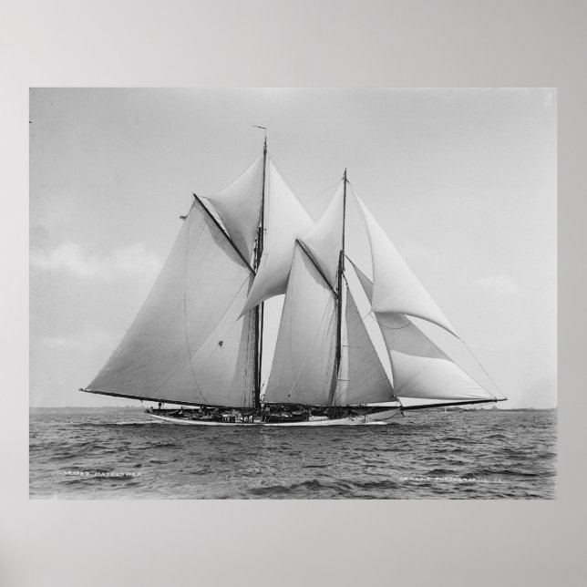 Póster Schooner Mayflower (Frente)